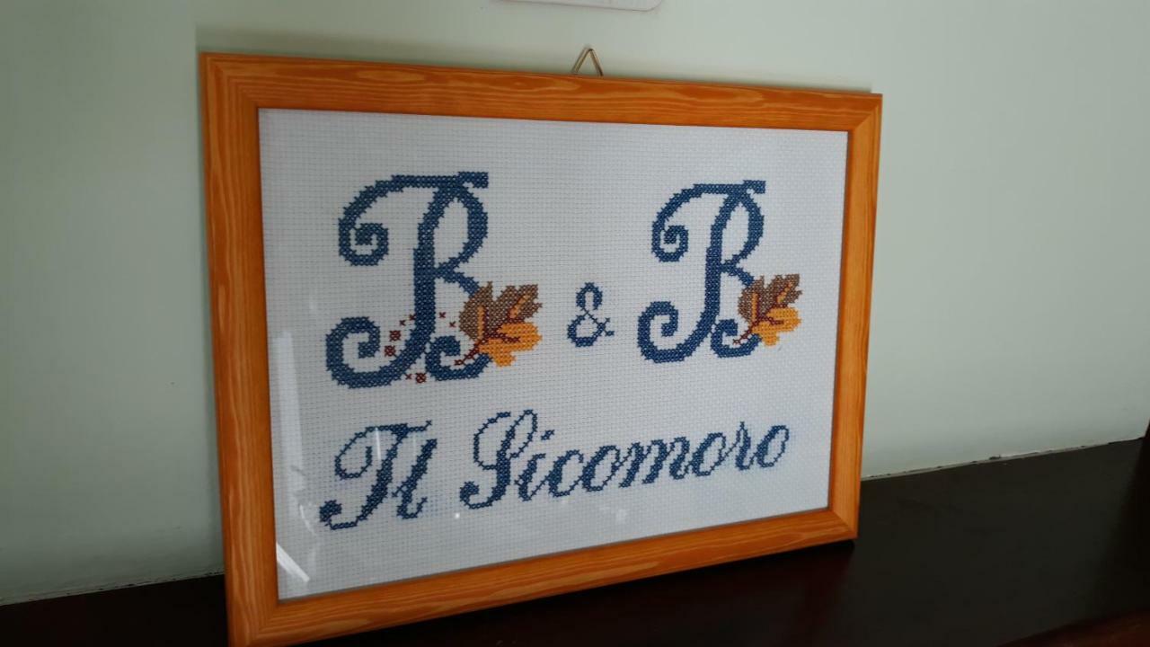 B & B Il Sicomoro Montecarotto Bagian luar foto