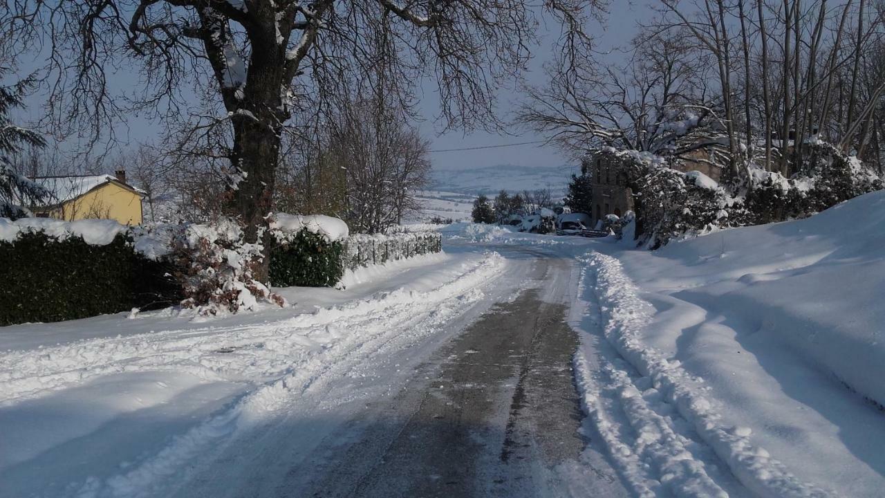 B & B Il Sicomoro Montecarotto Bagian luar foto